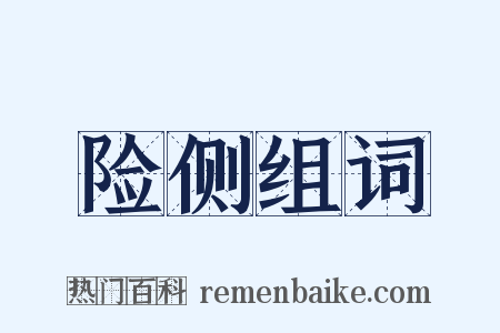 险侧组词是什么意思的图片